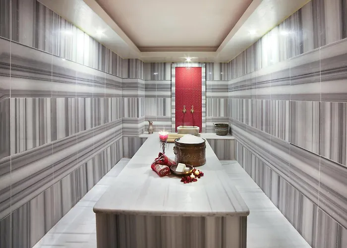 Great Fortune Hotel & Spa Istanboel